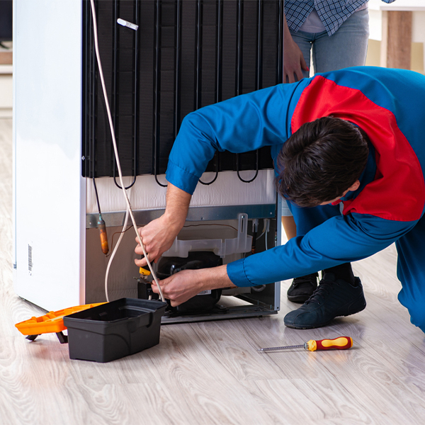 what are the common refrigerator repair services in Brothers